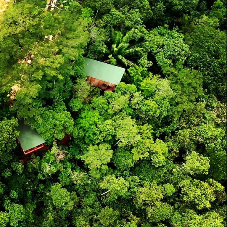 La Luciole Ecolodge Araquari Zewnętrze zdjęcie